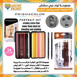 Tonde Grey Sketch Set 82 Piece Professional Charcoal and Skin Tones